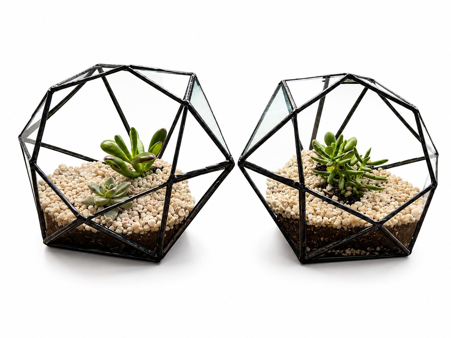 Geometric Gem Terrariums — Antiques & Curiosities from The Quirk